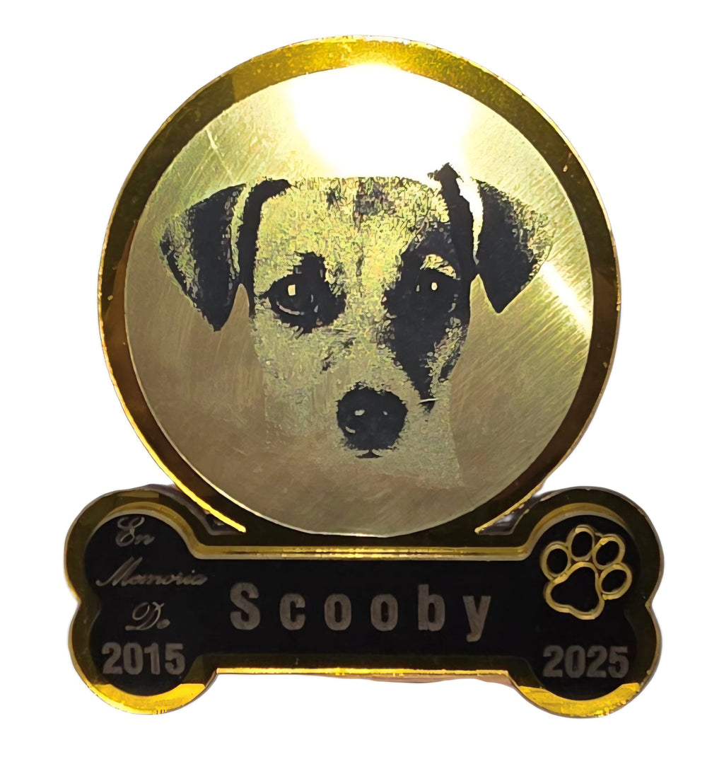 Cofre para Mascotas