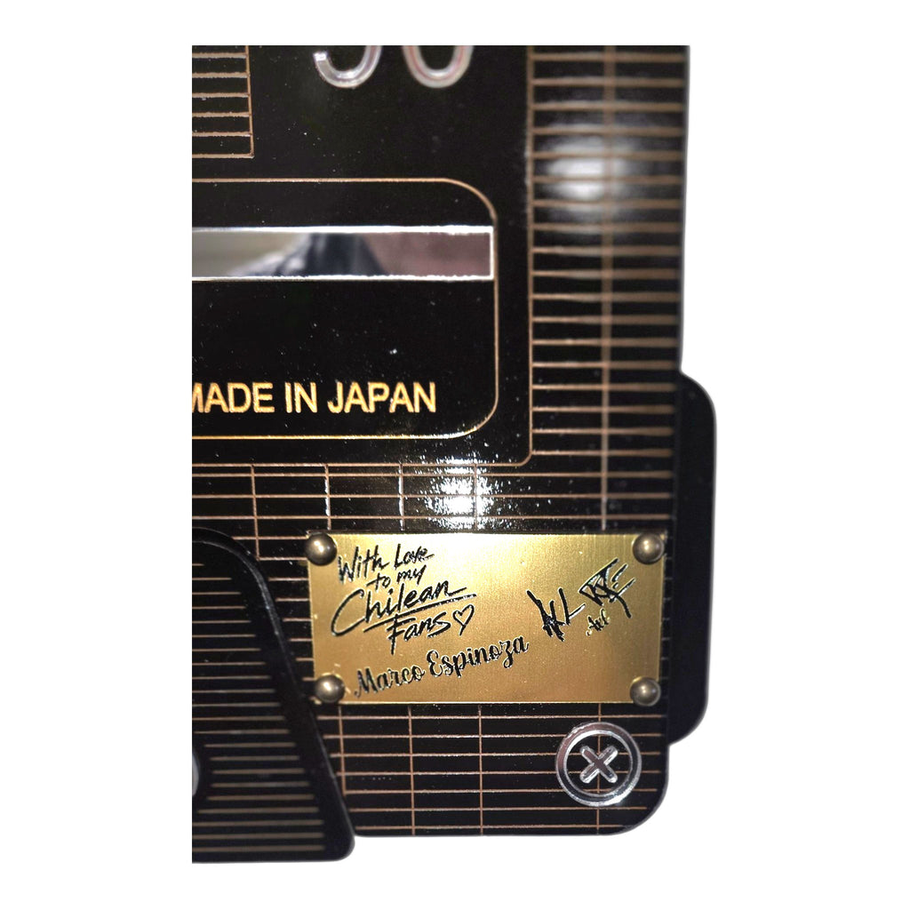 Cuadro Casete Guns  n Roses