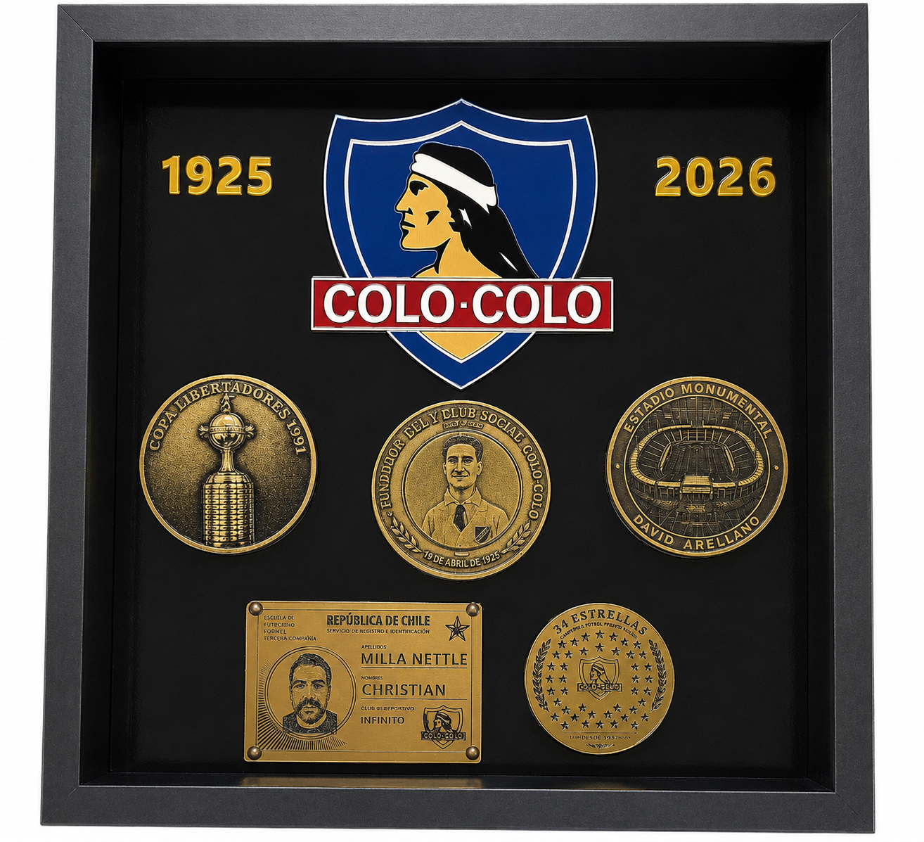 Cuadro De Colo Colo 40 x 40 cm