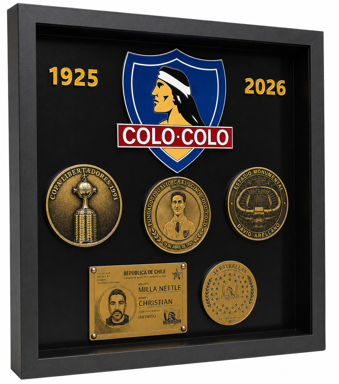 Cuadro De Colo Colo 40 x 40 cm