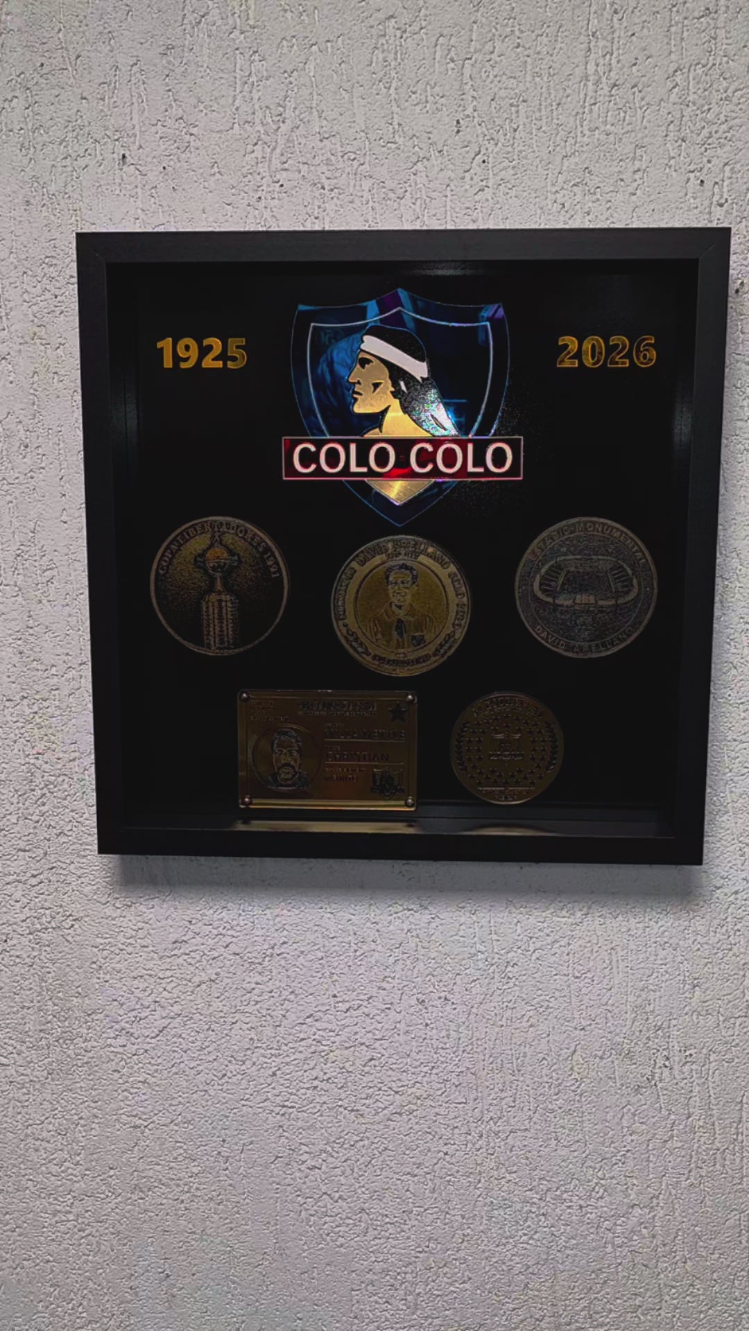 Cuadro De Colo Colo